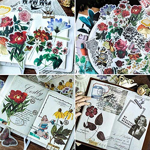 300 pcs Pegatinas Autoadhesivas para Manualidades,Pegatinas de Plantas Naturales para DIY Manualidades Decoración Scrapbooking Álbumes de Recortes Calendarios Tarjetas de Felicitación Regalos