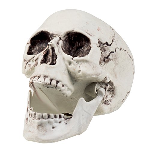 Boland, 74362 - Calavera decorativa con mandíbula abatible, blanco