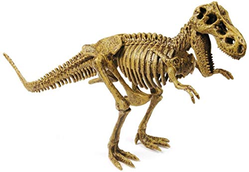 Cazadores Dr. Steve CL1500K - Paleo Expedición Kit Dino Dig: Modelo Tyrannosaurus Rex