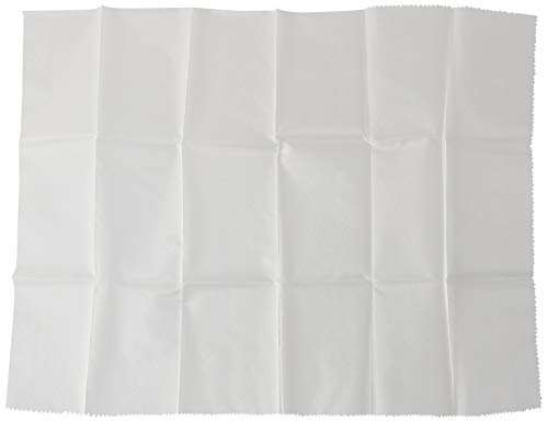 Dritz Sheer Press Cloth 22"X30"-100% Silk Organza