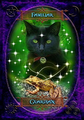 Meiklejohn-Free, B: Witches Wisdom Oracle Cards