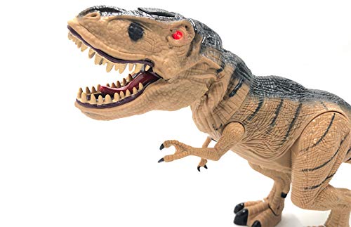 Tiranosaurio Rex Dinosaurio Teledirigido RC (Movimiento, Luz y Sonido) Iniciación Radio Control Remoto para Niños | T Rex Robot Juguete Interactivo