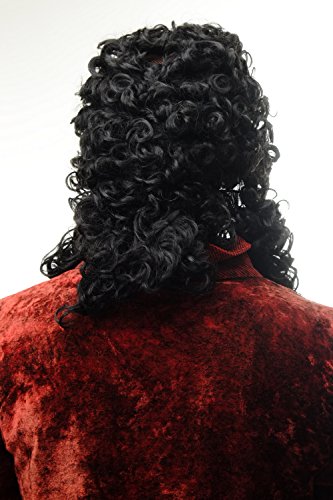 WIG ME UP ® - 91030-ZA103 Peluca Hombres Carnaval Barroco renacentist Noble príncipe, Rey Louis XIV rizos Negro Largo 45 cm