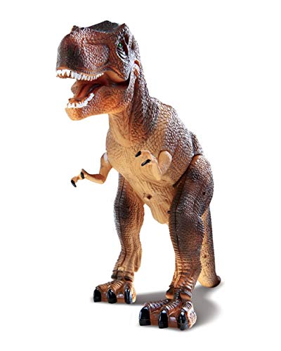 World Brands, T-Rex RC, Serie Discovery Set de Juegos (11503242)