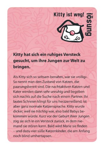 Pink Stories: 50 verflixt verhexte Rätsel nur für Mädchen