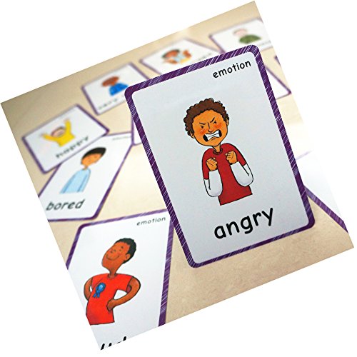 14 Pcs Feelings Emotions Flash Cards| Sentiment| Memory Game | Preschool Educational Learning English Games & First Words Cards(basic english vocabulary cards & cards pocket for kids )12x9cm(inglés)