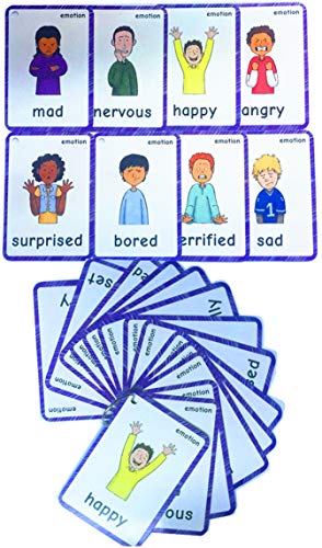 14 Pcs Feelings Emotions Flash Cards| Sentiment| Memory Game | Preschool Educational Learning English Games & First Words Cards(basic english vocabulary cards & cards pocket for kids )12x9cm(inglés)