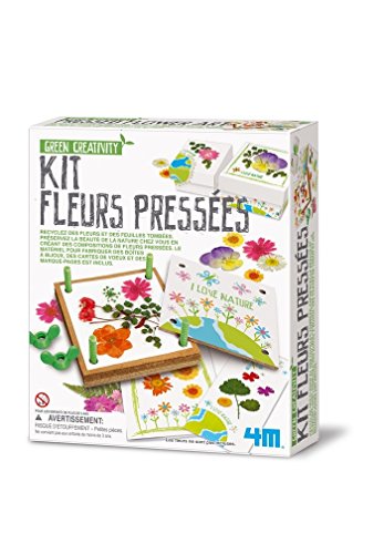 4M - Kit de Flores prensadas, 5664567, Multicolor