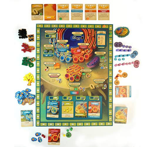 Cytosis: A Cell Biology Game