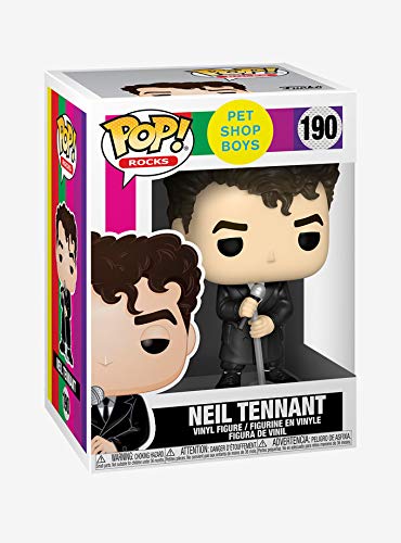 Funko- Pop Rocks: Pet Shop Boys-Neil Tennant Figura Coleccionable, Multicolor (41207)