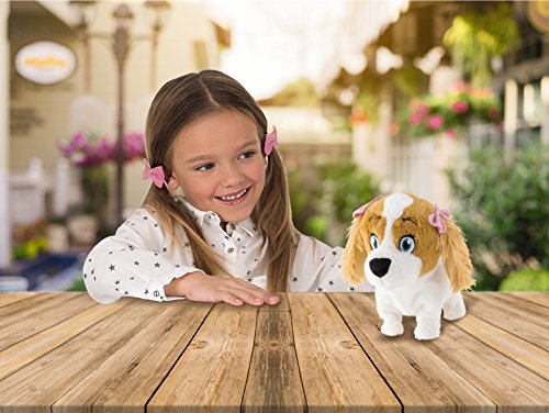 IMC Toys - Club Petz, Lola (94802) , color/modelo surtido