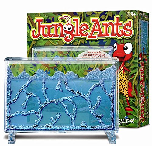 Jungle Ants- Hormiguero de La Jungla Juguete educativo, Multicolor (World Alive 4100) , color/modelo surtido