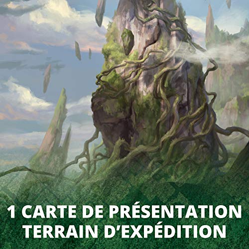 Magic: The Gathering - Caja Draft Renaissance de Zendikar (36 boosters + 1 Tarjeta de presentación)