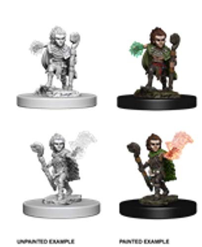 Pathfinder Battles Deep Cuts: Gnome Female Druid Unpainted Miniature by Wizkids