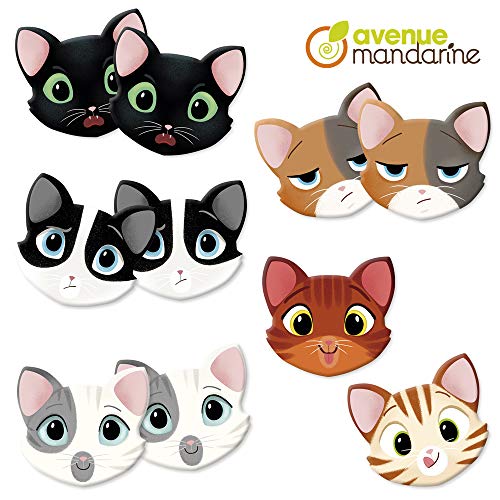 Avenue Mandarine módulo de Juego Educativo – Gatos y Expresiones, Multicolor