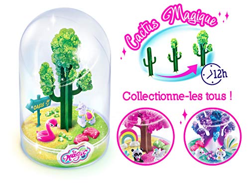 Canal Toys MSG 010 SO DIY So Magic - Terrario Grande para Hacer Crecer – temática Desierto