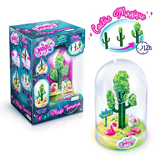 Canal Toys MSG 010 SO DIY So Magic - Terrario Grande para Hacer Crecer – temática Desierto