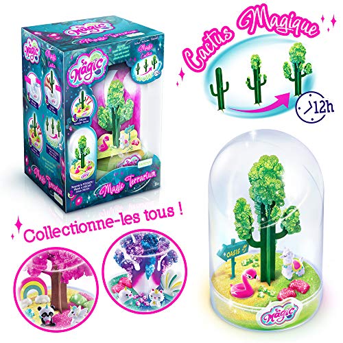 Canal Toys MSG 010 SO DIY So Magic - Terrario Grande para Hacer Crecer – temática Desierto