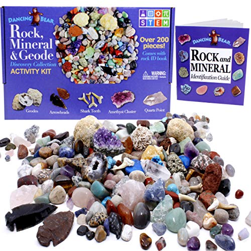 Dancing Bear's Rocks and Minerals Rock & Mineral Kit de Recogida con el Kit Actividad 2 de ruptura fácil geodas