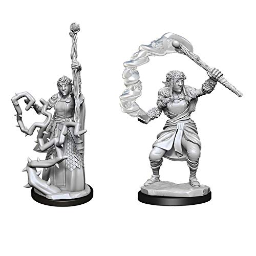 Dungeons & Dragons Nolzur's Marvelous Unpainted Minis: Firbolg Druid Female