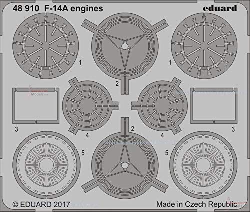 Eduard EDBIG49169 Big Ed - Juego de Accesorios fotográficos para Tomcat (Tamiya)