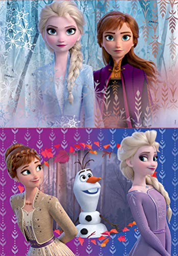 Educa Borrás 2 puzzles infantiles, 20 piezas, Frozen II, a partir de 36 meses, color variado, 2 x 20 (18109) , color/modelo surtido