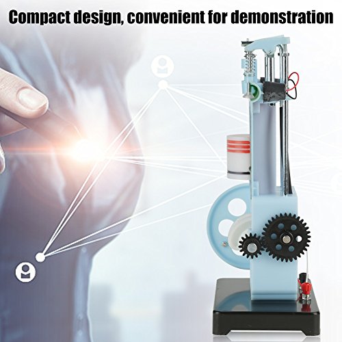 Física Mecánica Experimento Instrumento Didáctico Diesel Modelo de Motor de Combustión Interna de 4 Tiempos Demostrar el Principio de Funcionamiento