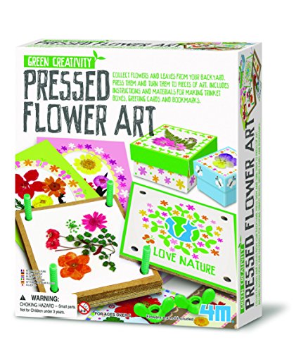 Great Gizmos- Pressed Flower Art Collage, Multicolor (4194) , color/modelo surtido