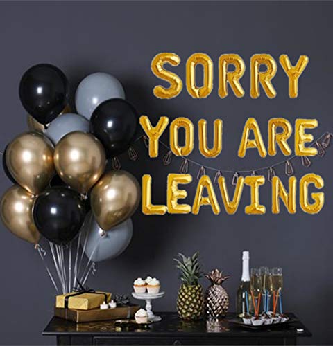 JeVenis Juego de 13 letreros con texto en inglés "Sorry You Are Leavinging", texto en inglés "We Will Miss You" en inglés "Sorry You Are Leavinging"