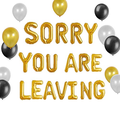 JeVenis Juego de 13 letreros con texto en inglés "Sorry You Are Leavinging", texto en inglés "We Will Miss You" en inglés "Sorry You Are Leavinging"