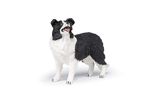 Jocs Esemebe Perro Border Collie