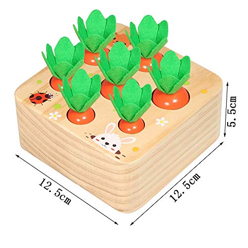 Juguete de Zanahoria de Madera,Juego de Clasificación de Tamaño de Forma de Cosecha de Zanahorias,Adecuado para Niños y Niñas Mayores de 2 Años para Aprender Habilidades Motoras Finas en Preescolar