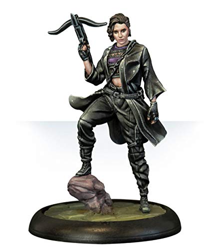 Knight Models Batman Miniature Game: Birds of Prey Español