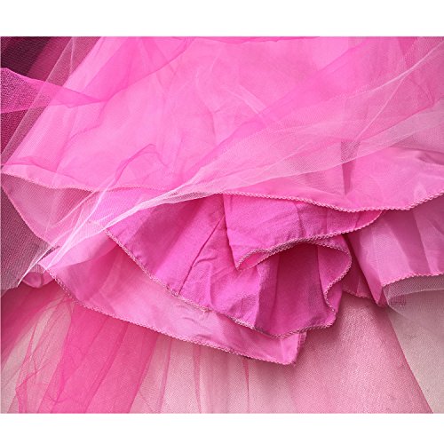 LiUiMiY Disfraces Niña Princesa Vestido de Manga Larga Carnaval Tul Tiara Cosplay Wedding Party Vestido de Carnaval de Cumpleaños para Niñas