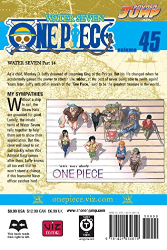 One Piece Volume 45 [Idioma Inglés]: You Have My Sympathies