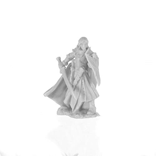 Pechetruite 1 x ALANDIN Elf Paladin - Reaper Bones Miniatura para Juego de rol Guerra - 77743