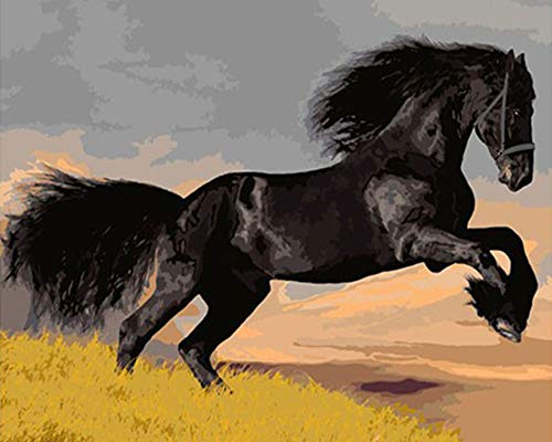 Pintar por números para niños adultos kit de pintura al óleo DIY Principiante - Caballo galopante negro y poderoso 498