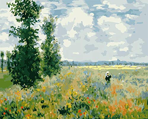 Pintar por números para niños Adultos Kit de Pintura al óleo DIY Principiante - Monet en el Campo de adormidera de Al 1315