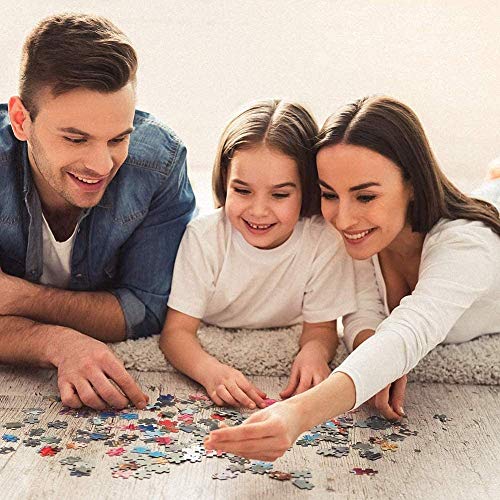 Puzzle de 1000 Piezas - Romantic Paris - Adultos, Adolescentes, niños, Rompecabezas Grande, Juguetes, Regalo, Educativo, Intelectual, descompresión, Divertido Juego Familiar