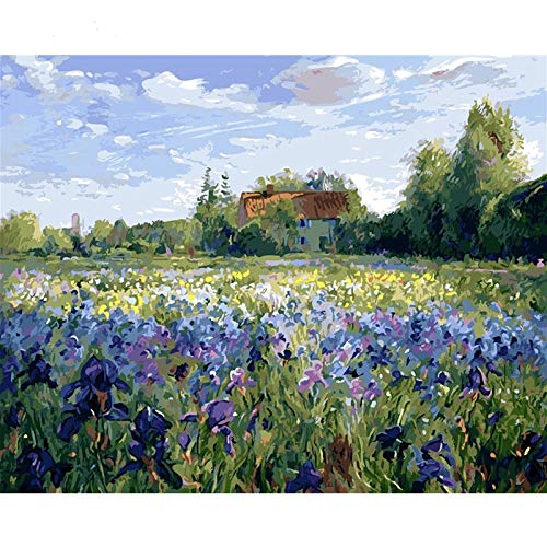 QERTYP Pintura De Bricolaje por Kit De Números,Pintura por Números DIY Óleo Pintura Lavanda Flor Campo Lienzo Arte Pintado A Mano Adulto Niño Principiante para La Decoración del Hogar, 40X50 Cm Mar