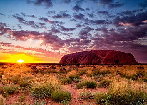 Ravensburger- Puzzle de Ayers Rock en Australia, Color Amarillo (15155)