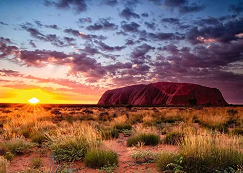 Ravensburger- Puzzle de Ayers Rock en Australia, Color Amarillo (15155)