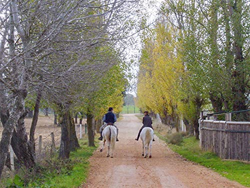 Smartbox - Caja Regalo para Hombres - Ruta a Caballo de 1 Hora o más de duración - Caja Regalo para Hombres - 1 Ruta a Caballo de mínimo 1h para 2 Personas