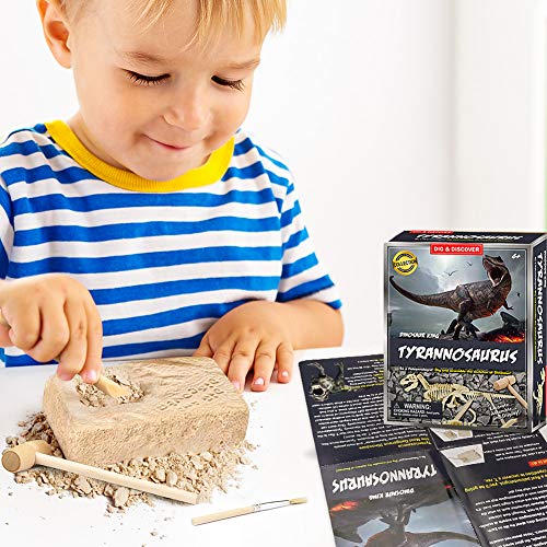 welltop Fósil de Dinosaurio,Excavar y Descubrir Dinosaurio jurásico para niños,Rompecabezas Huesos Educativo Arqueología Fósil Esqueleto(Tirano saurio Rex)