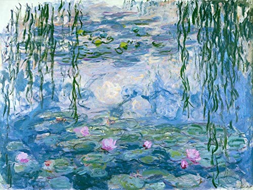 1000 Piezas Rompecabezas Adultos Adolescentes Monet Water Lily Rompecabezas de Bricolaje Dificultad Media Alta definición Juego de Rompecabezas de Piso de impresión 75 * 50cm