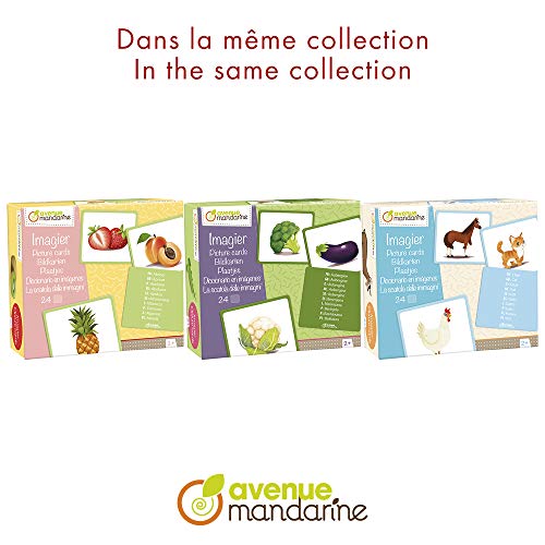 Avenue Mandarine JE513C - Caja de imágenes con 24 Tarjetas multilingües (traducción a 10 Idiomas) 11,5 x 12,7 cm, Animales Familiares