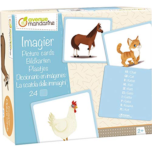 Avenue Mandarine JE513C - Caja de imágenes con 24 Tarjetas multilingües (traducción a 10 Idiomas) 11,5 x 12,7 cm, Animales Familiares