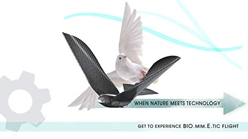 BionicBird MetaBird - Un avión teledirigido biomimético controlado por un Smartphone