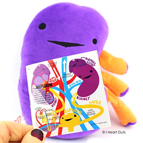 Colossal Kidney Plush - When Urine Love! - I Heart Guts Series by I Heart Guts