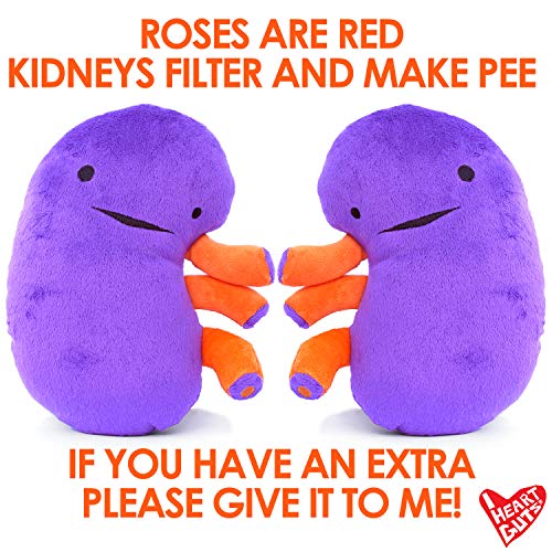 Colossal Kidney Plush - When Urine Love! - I Heart Guts Series by I Heart Guts